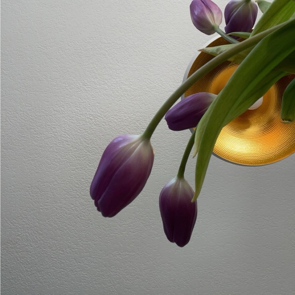 Meet your Posher, Margaret - Picture 1 of 1